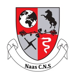Naas Community National School