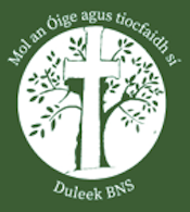 Scoil na Bheinín Naofa Buachaillí