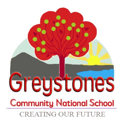 Greystones Community National School