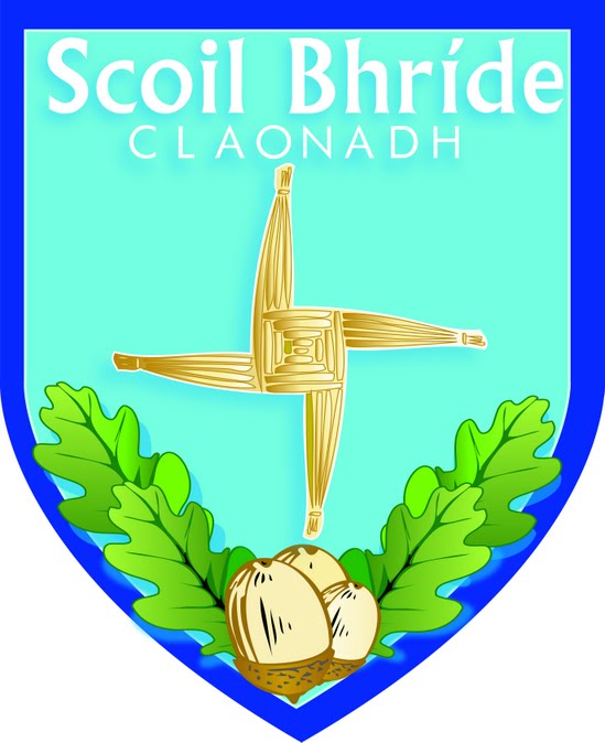 Scoil Naisiunta Bhride
